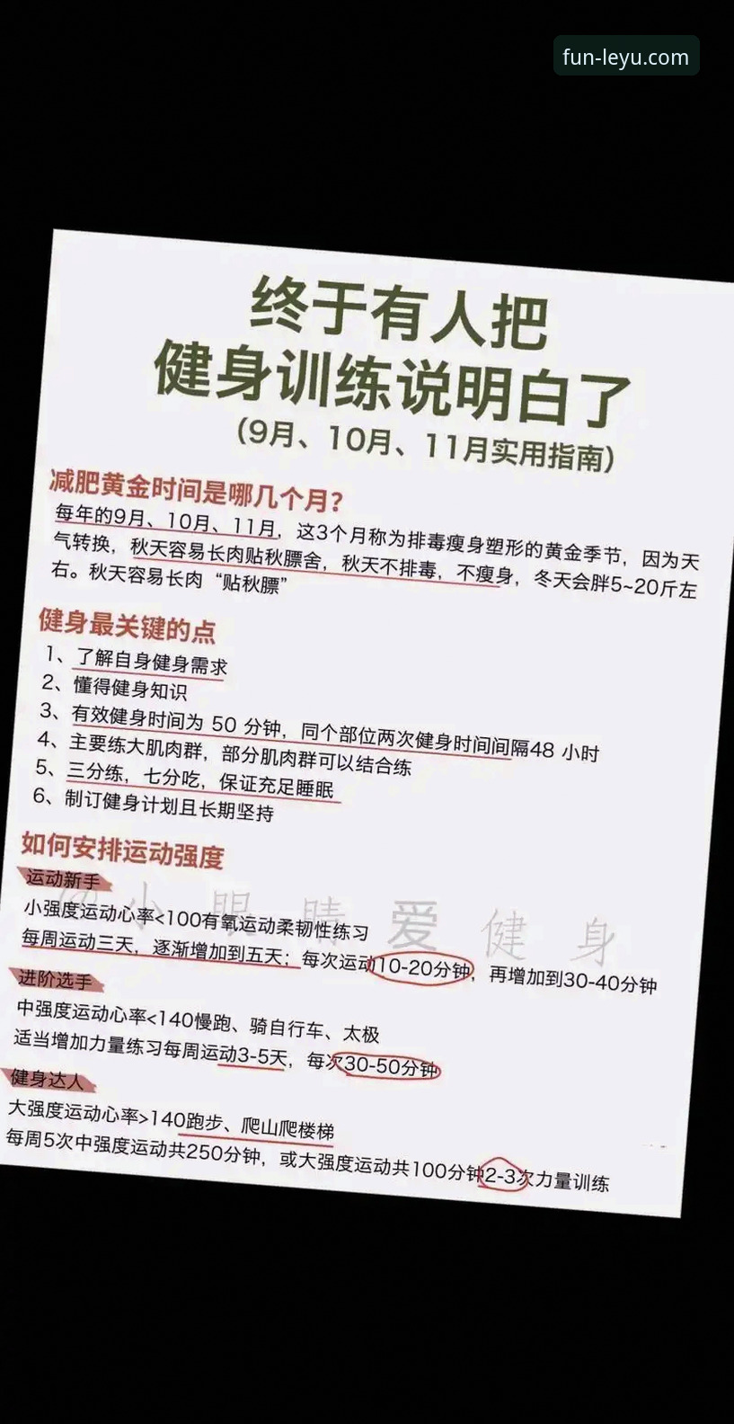 乐鱼体育平台入口实用指南：老用户分享的必备知识与经验